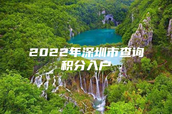 2022年深圳市查询积分入户