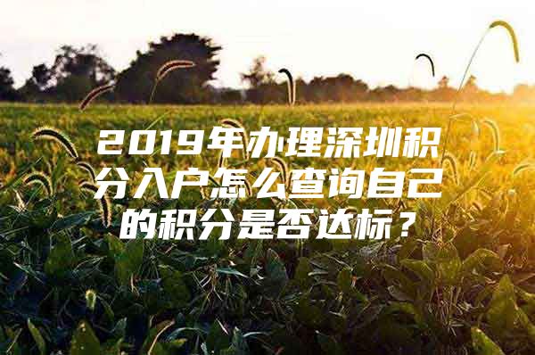 2019年办理深圳积分入户怎么查询自己的积分是否达标？