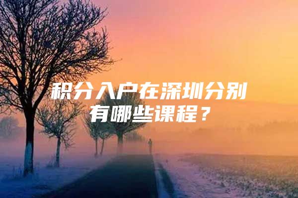 积分入户在深圳分别有哪些课程？