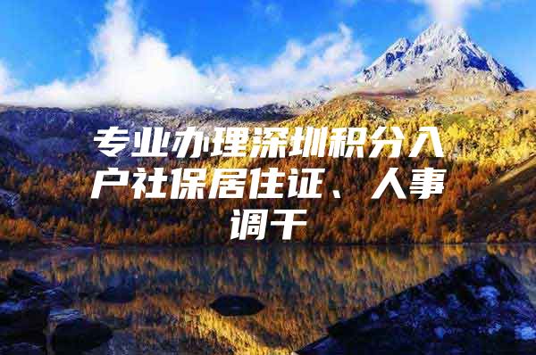 专业办理深圳积分入户社保居住证、人事调干