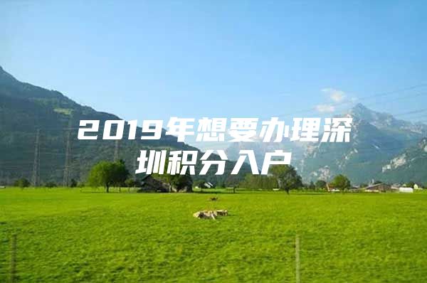 2019年想要办理深圳积分入户