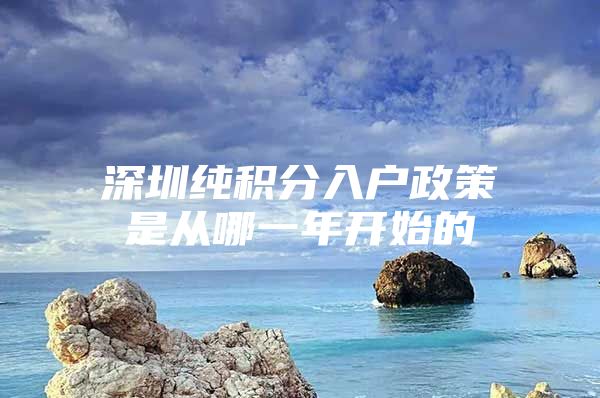 深圳纯积分入户政策是从哪一年开始的