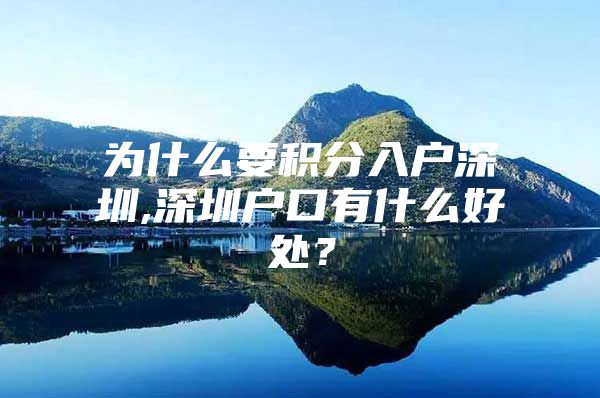 为什么要积分入户深圳,深圳户口有什么好处？