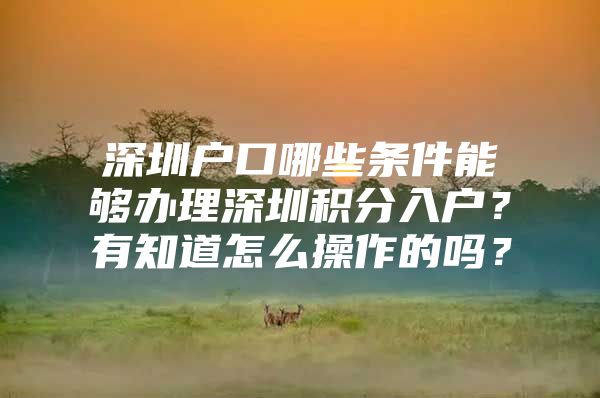 深圳户口哪些条件能够办理深圳积分入户？有知道怎么操作的吗？