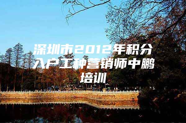 深圳市2012年积分入户工种营销师中鹏培训