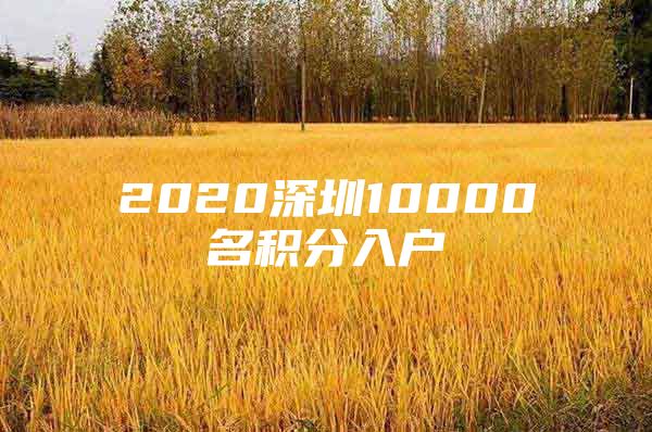 2020深圳10000名积分入户