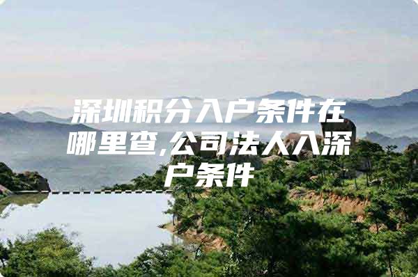 深圳积分入户条件在哪里查,公司法人入深户条件