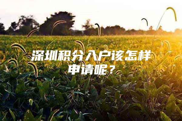 深圳积分入户该怎样申请呢？