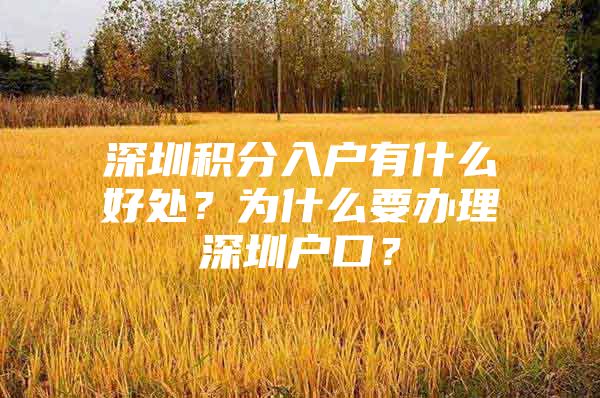 深圳积分入户有什么好处？为什么要办理深圳户口？